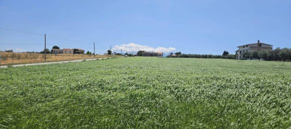5540m² Land in Rosciano, Italy No. 283787 10