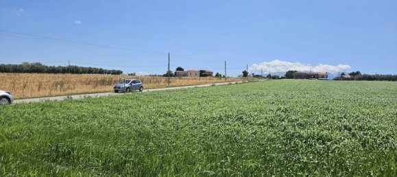 5540m² Land in Rosciano, Italy No. 283787 12