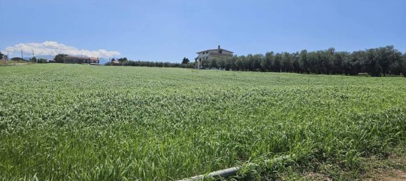 5540m² Land in Rosciano, Italy No. 283787 23
