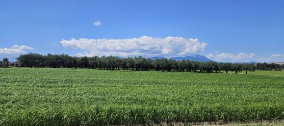 5540m² Land in Rosciano, Italy No. 283787 8