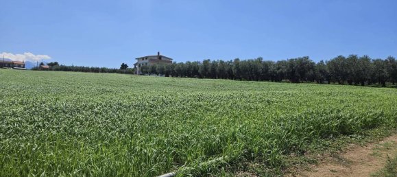 5540m² Land in Rosciano, Italy No. 283787 22