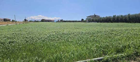 5540m² Land in Rosciano, Italy No. 283787 24