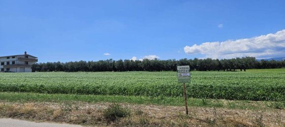 5540m² Land in Rosciano, Italy No. 283787 9