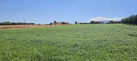 5540m² Land in Rosciano, Italy No. 283787 19