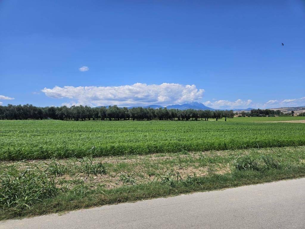 5540m² Land in Rosciano, Italy No. 283787