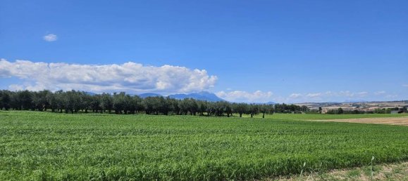 5540m² Land in Rosciano, Italy No. 283787 7