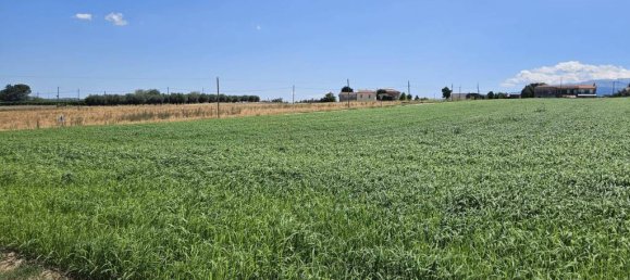 5540m² Land in Rosciano, Italy No. 283787 14