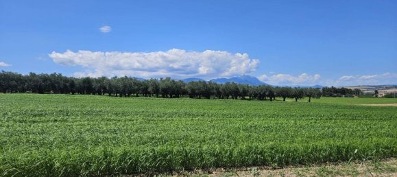 5540m² Land in Rosciano, Italy No. 283787 6