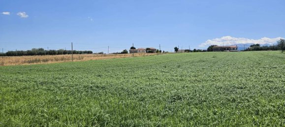 5540m² Land in Rosciano, Italy No. 283787 18