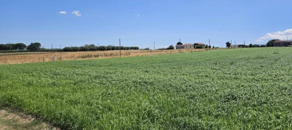 5540m² Land in Rosciano, Italy No. 283787 15