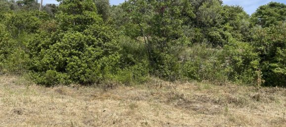 Terrain à Apt, France 7932m² No. 62817 14