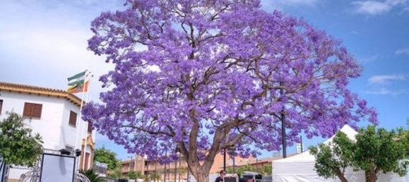 1 غرف نوم بانتهاوس في Benalmadena, Spain رقم 99134 19