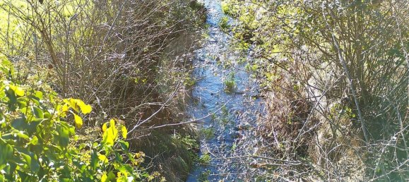 2 bedrooms House in Vila de Rei, Portugal No. 166497 24