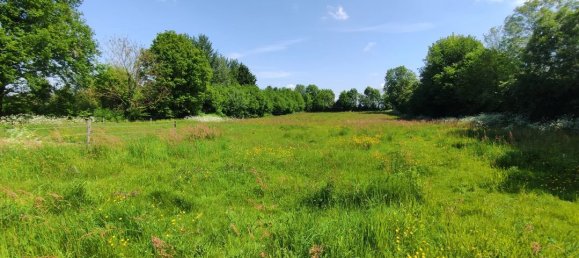 3 bedrooms House in Deux-Sevres, France No. 343889 16