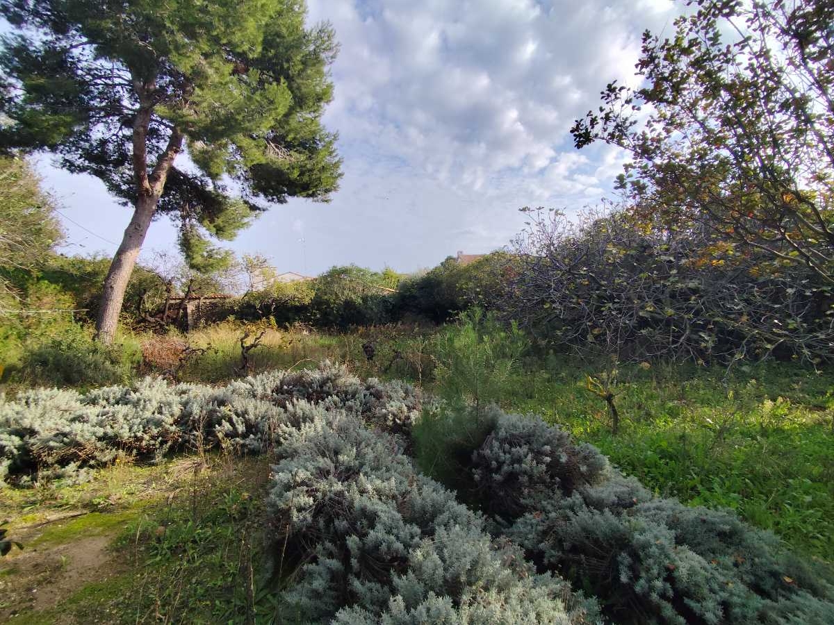  Land in Marseillan, France No. 122655