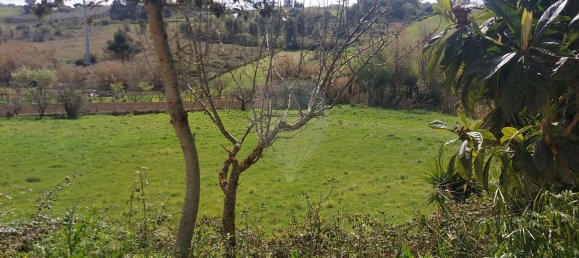 Terrain à Batalha, Portugal 4520m² No. 93973 6