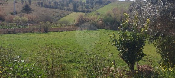 Terrain à Batalha, Portugal 4520m² No. 93973 8