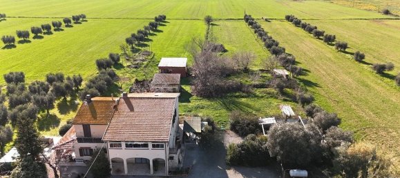 10 rooms Apartment in Orbetello, Italy No. 90944 13