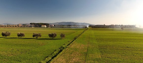 10 rooms Apartment in Orbetello, Italy No. 90944 2