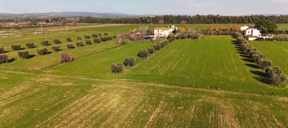 10 rooms Apartment in Orbetello, Italy No. 90944 6