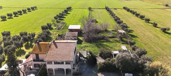 10 rooms Apartment in Orbetello, Italy No. 90944 11