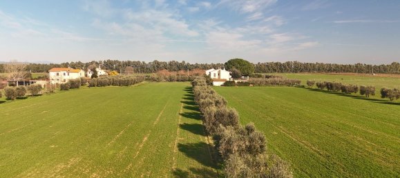 10 rooms Apartment in Orbetello, Italy No. 90944 5