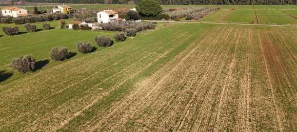 10 rooms Apartment in Orbetello, Italy No. 90944 3