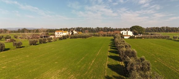 10 rooms Apartment in Orbetello, Italy No. 90944 4