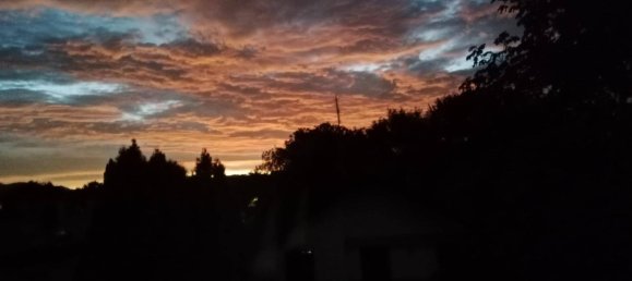 3غرفة شقة في Lustenau, Austria رقم 246843 24