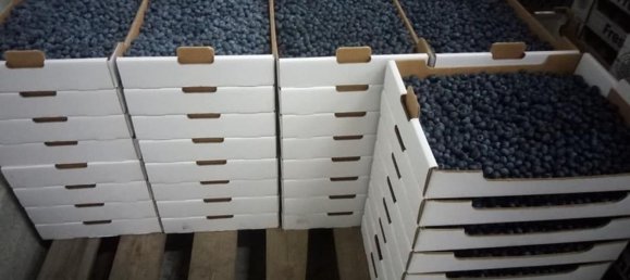 Land in Orjais, Portugal No. 189951 9