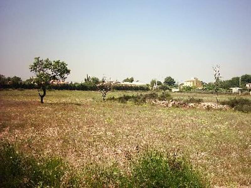 Terrain à San Vicente del Raspeig, Spain No. 22295