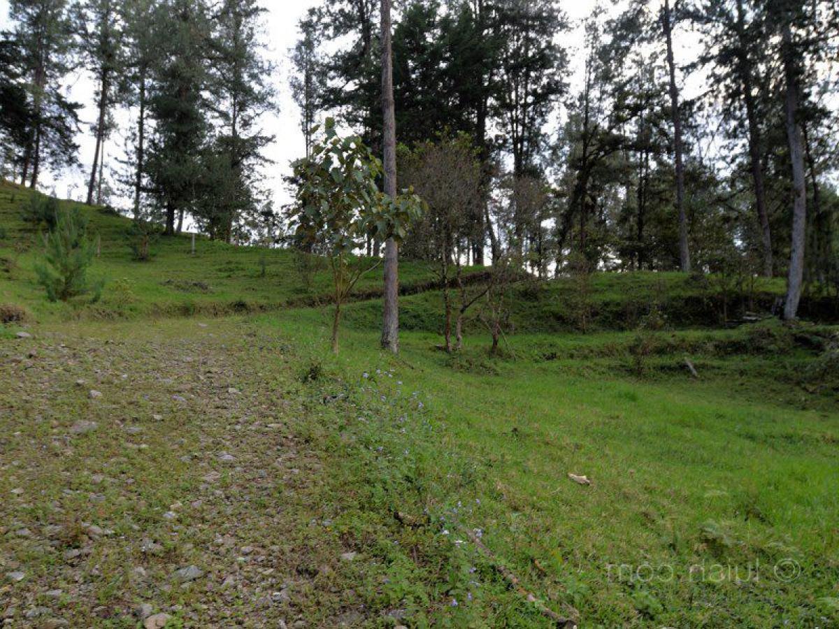  Land in Antioquia, Colombia No. 104