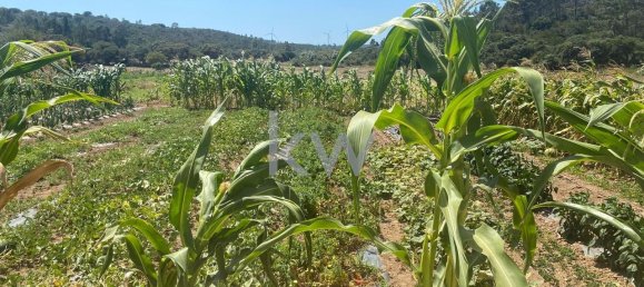 2 bedrooms House in Budens, Portugal No. 57265 48