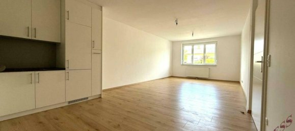 5 rooms House in Neufeld an der Leitha, Austria No. 213502 6