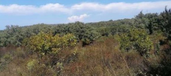  قطعة أرض في Aglientu, Italy رقم 318475 6