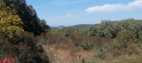  قطعة أرض في Aglientu, Italy رقم 318475 3