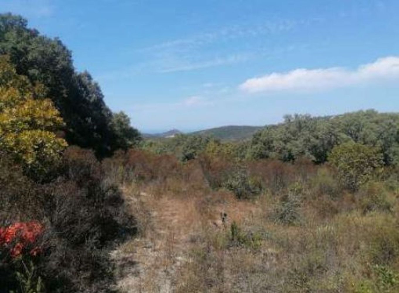  قطعة أرض في Aglientu, Italy رقم 318475