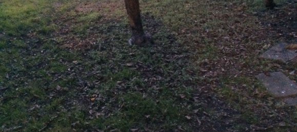 6-salle Appartement à Arezzo, Italy No. 113739 9