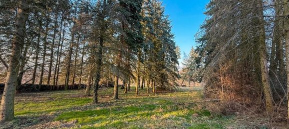 قطعة أرض في Dresden, Germany رقم 365301 2