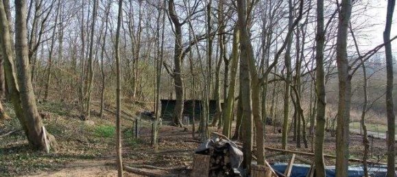 48-Zimmer Bauernhof in Vorpommern-Rügen, Germany, Nr. 301026 31