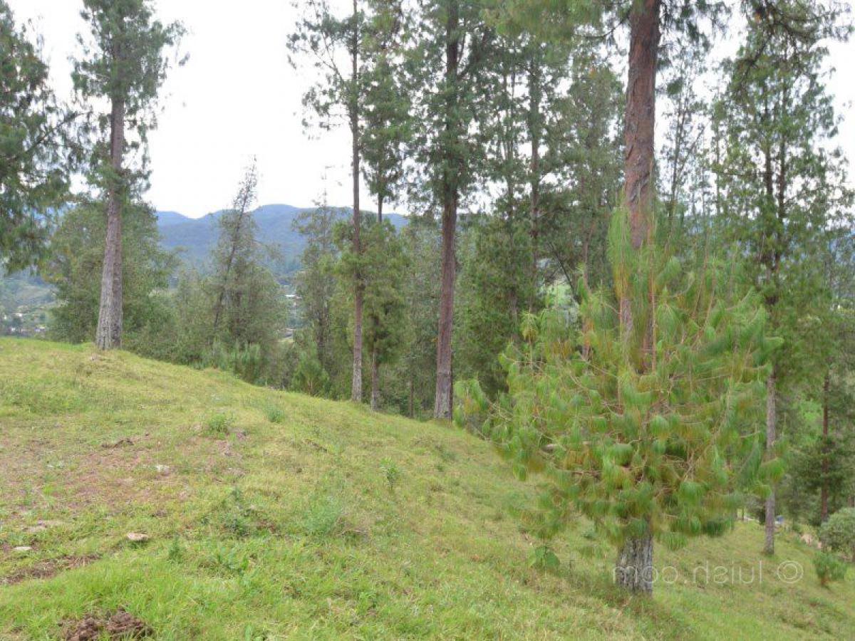 Grundstück in Antioquia, Colombia, Nr. 154
