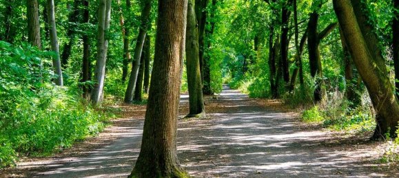 Studio in Wedding, Germany, Nr. 65674 14