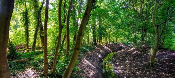 Studio in Wedding, Germany, Nr. 65674 13