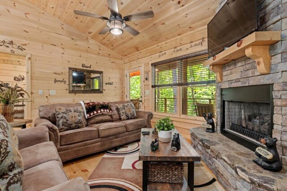 2 bedrooms House in Blue Ridge, USA No. 378248