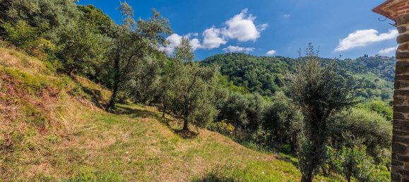 10 rooms House in Marliana, Italy No. 284235 29