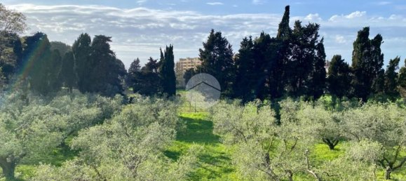 4 rooms Apartment in Anzio, Italy No. 97016 19