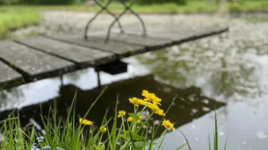  قطعة أرض في Persenbeug-Gottsdorf, Austria 42565متر مربع رقم 122570