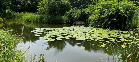  قطعة أرض في Persenbeug-Gottsdorf, Austria 42565متر مربع رقم 122570 11