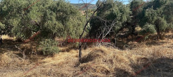 6000m² Land in Bagheria, Italy No. 364470 6