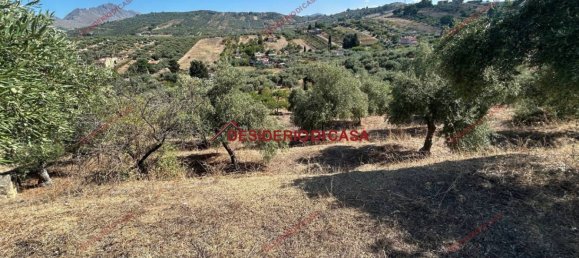 6000m² Land in Bagheria, Italy No. 364470 17